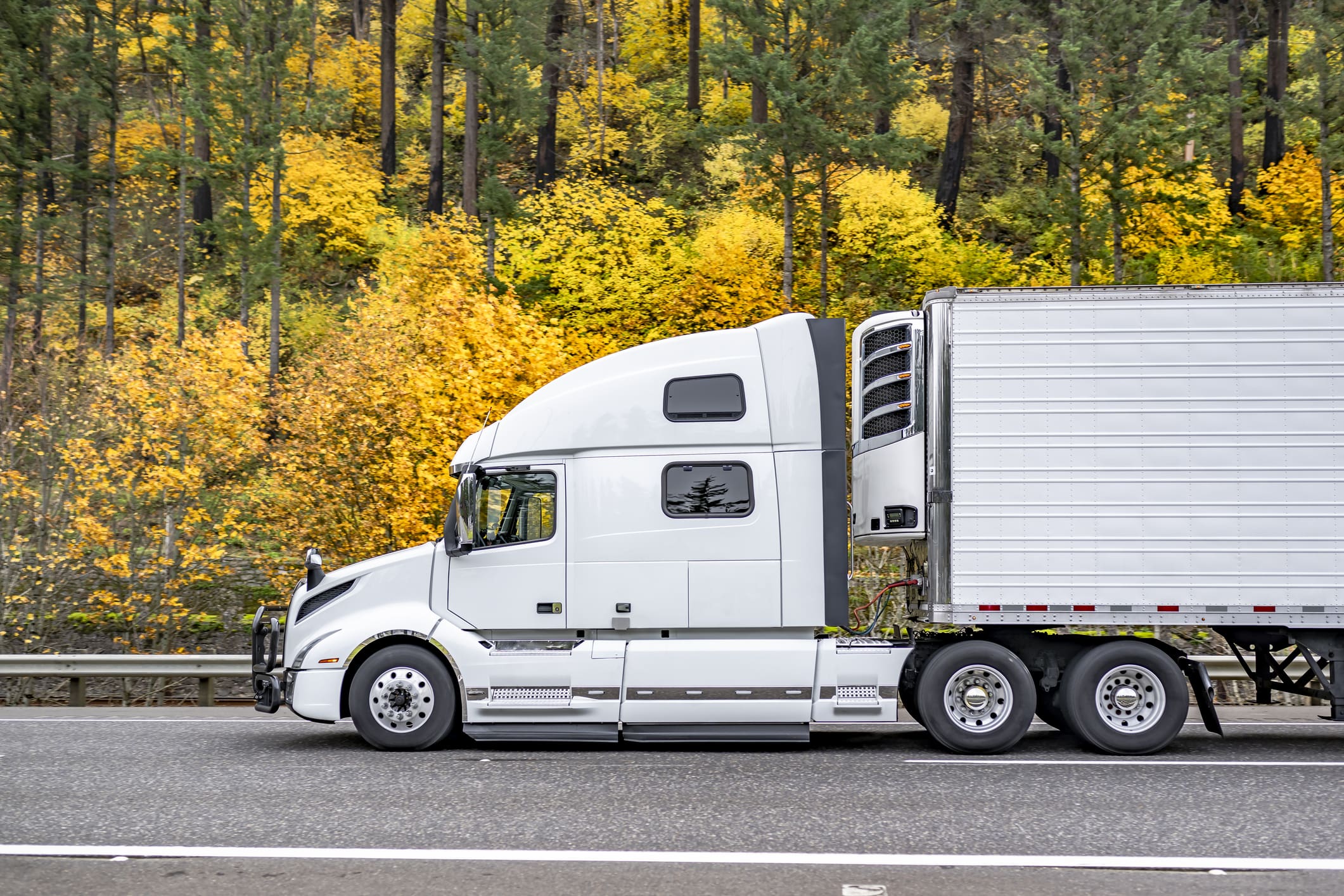 Big rig white semi truck with extended cab transporting cargo in refrigerator semi trailer running on the autumn highway road with yellow trees on mountain hill in Columbia Gorge